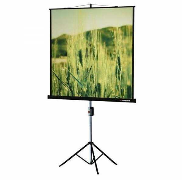 Рулонный Lumien Master View (LMV-100105) фотография 4