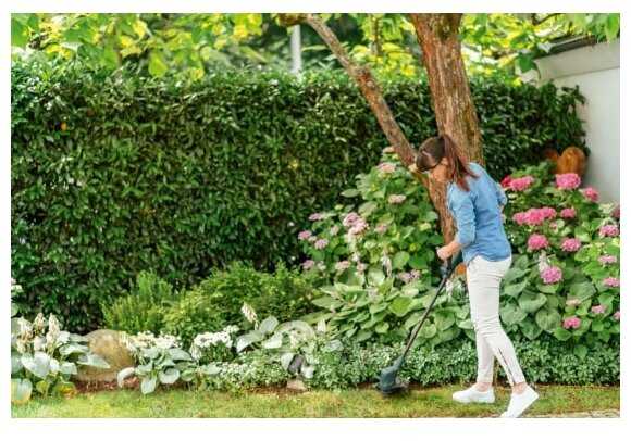 Π’ΡΠΈΠΌΠΌΠ΅Ρ ΡΠ»Π΅ΠΊΡΡΠΈΡΠ΅ΡΠΊΠΈΠΉ BOSCH EasyGrassCut 23 (0.600.8C1.H00) ΡΠΎΡΠΎΠ³ΡΠ°ΡΠΈΡ 3