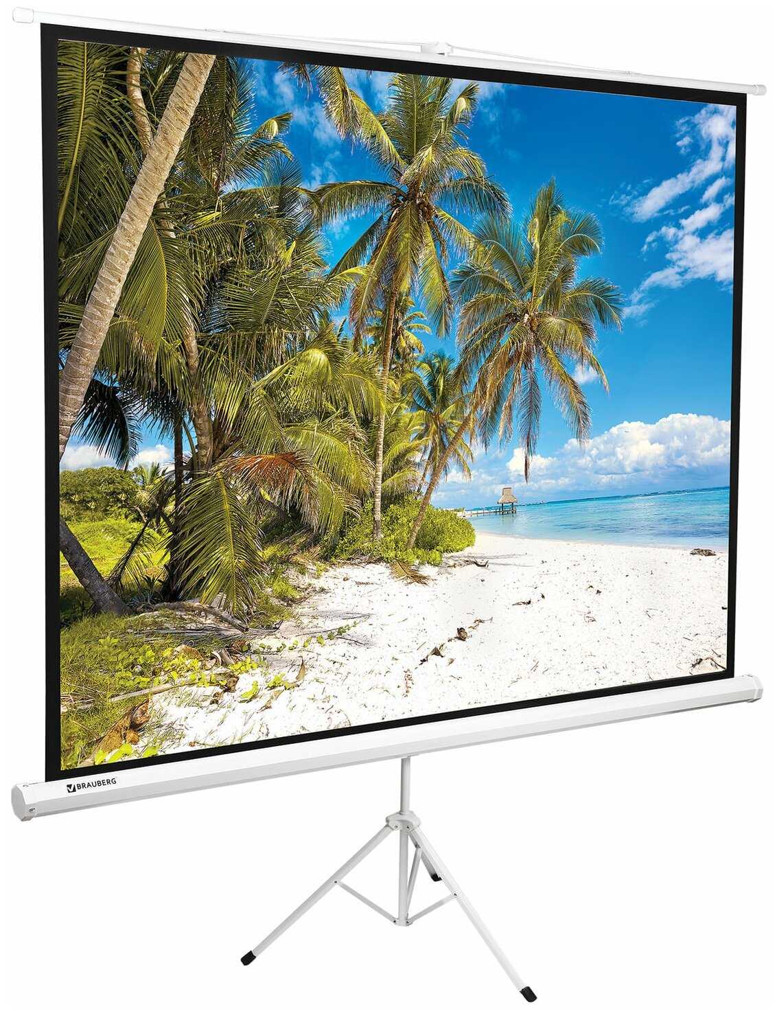 Рулонный BRAUBERG Tripod (236731) фотография 19