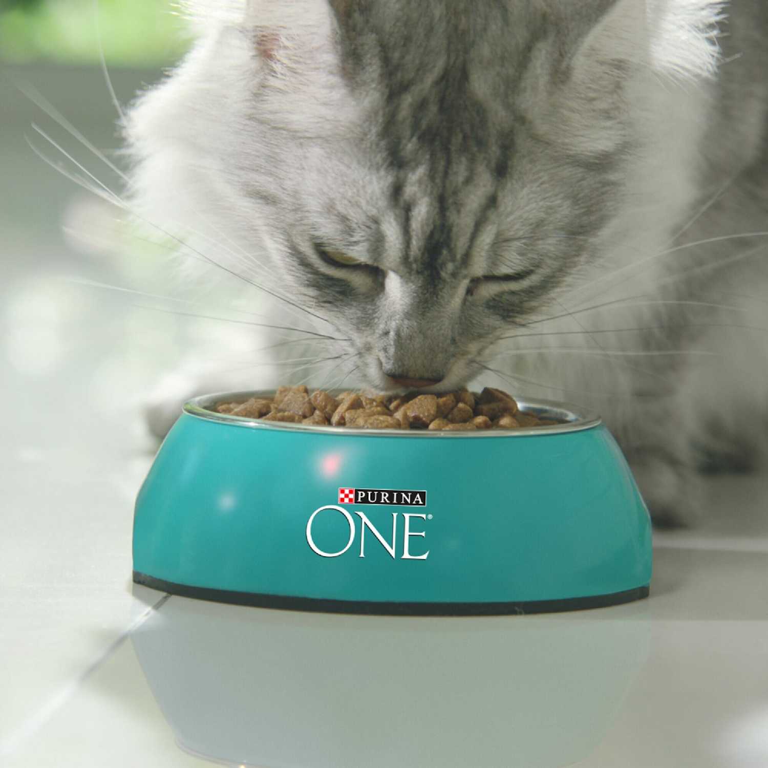 Корм для кошек Purina ONE с высоким содержанием курицы и цельными злаками фотография 9