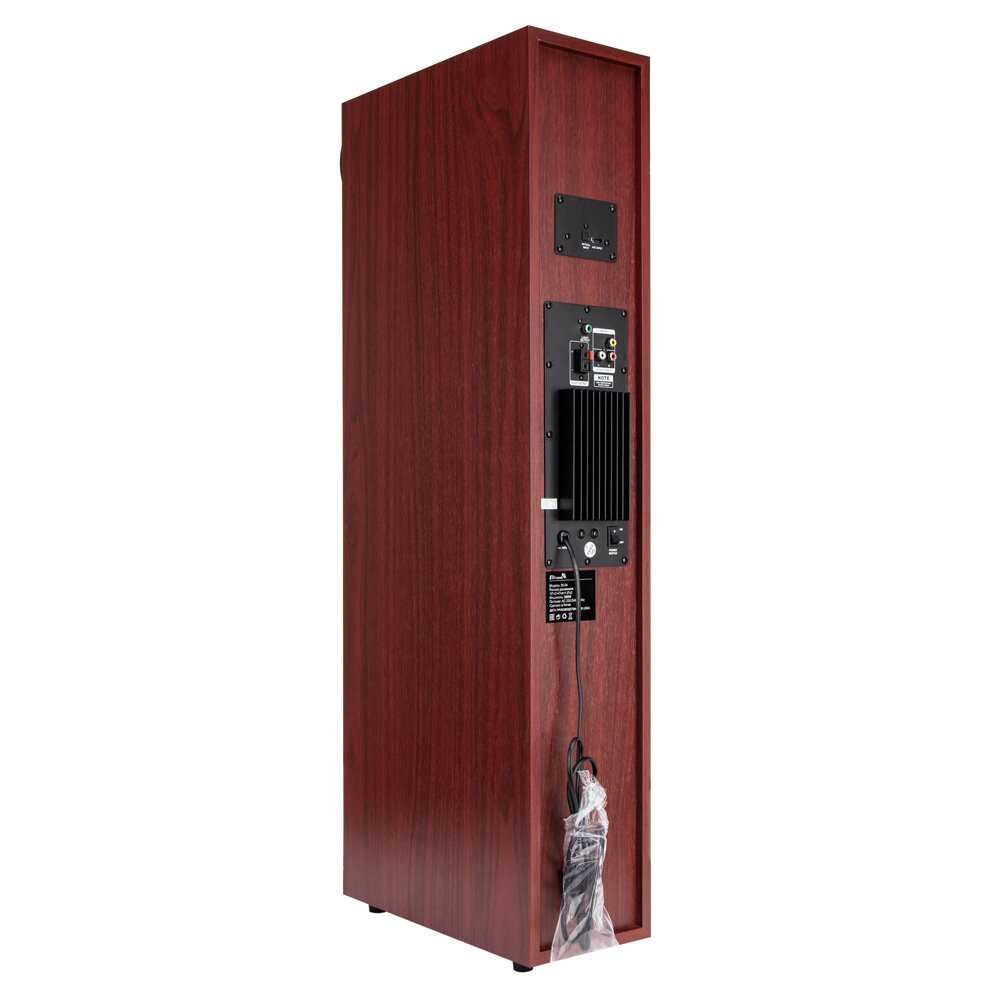 Колонка Home Sound (FM-радио, дисплей, караоке) фотография 19