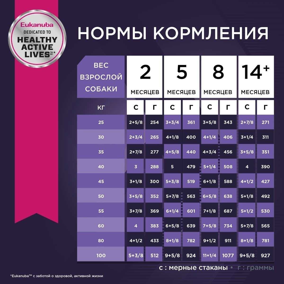 Корм для щенков Eukanuba для здоровья костей и суставов фотография 14