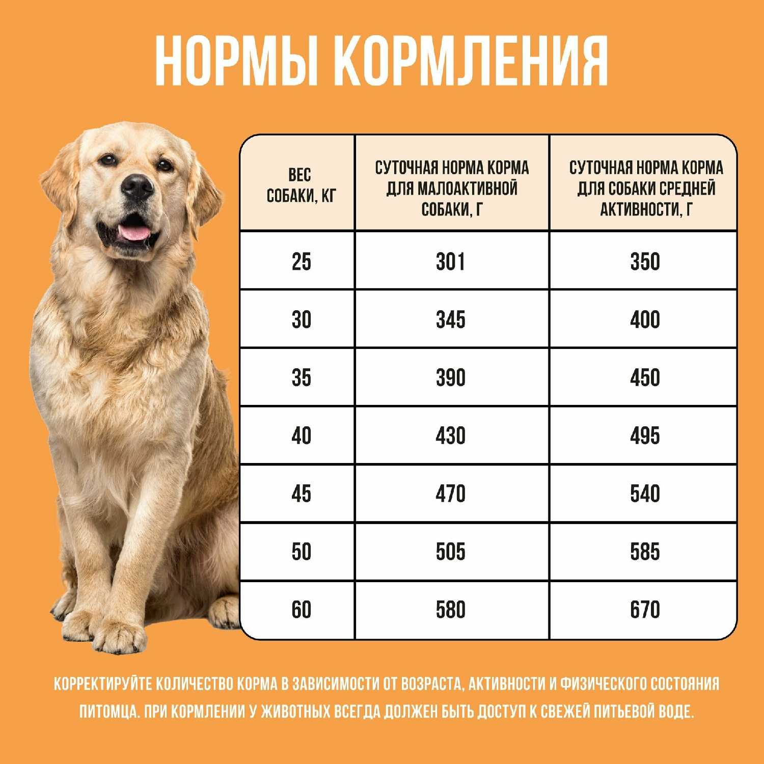 Корм для щенков средних пород собак с индейкой, рисом и клюквой 2 кг. фотография 28