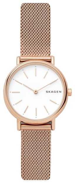 Наручные часы SKAGEN SKW2694