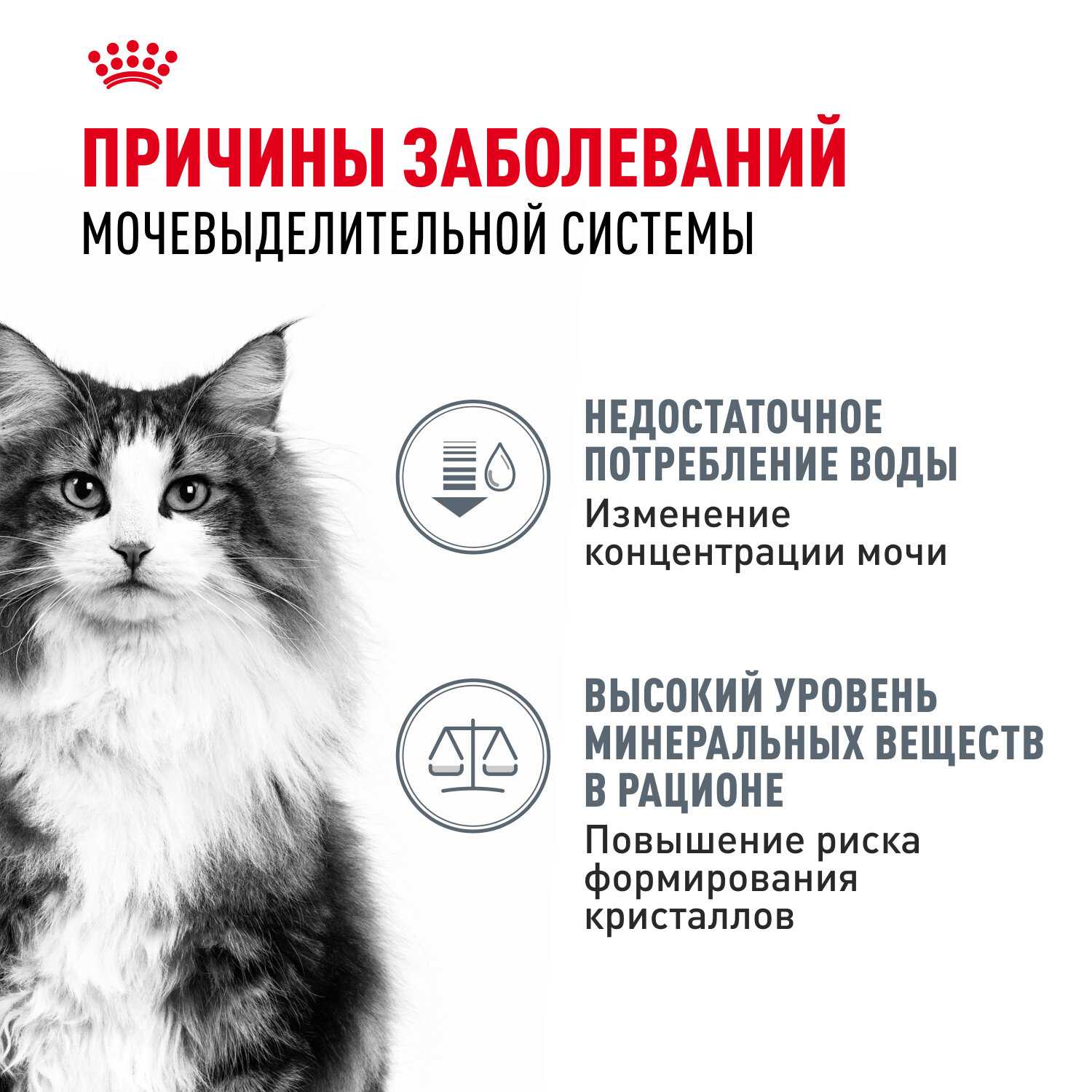 Влажный корм Royal Canin Urinary Care [для взрослых кошек при мочекаменной болезни] фотография 5