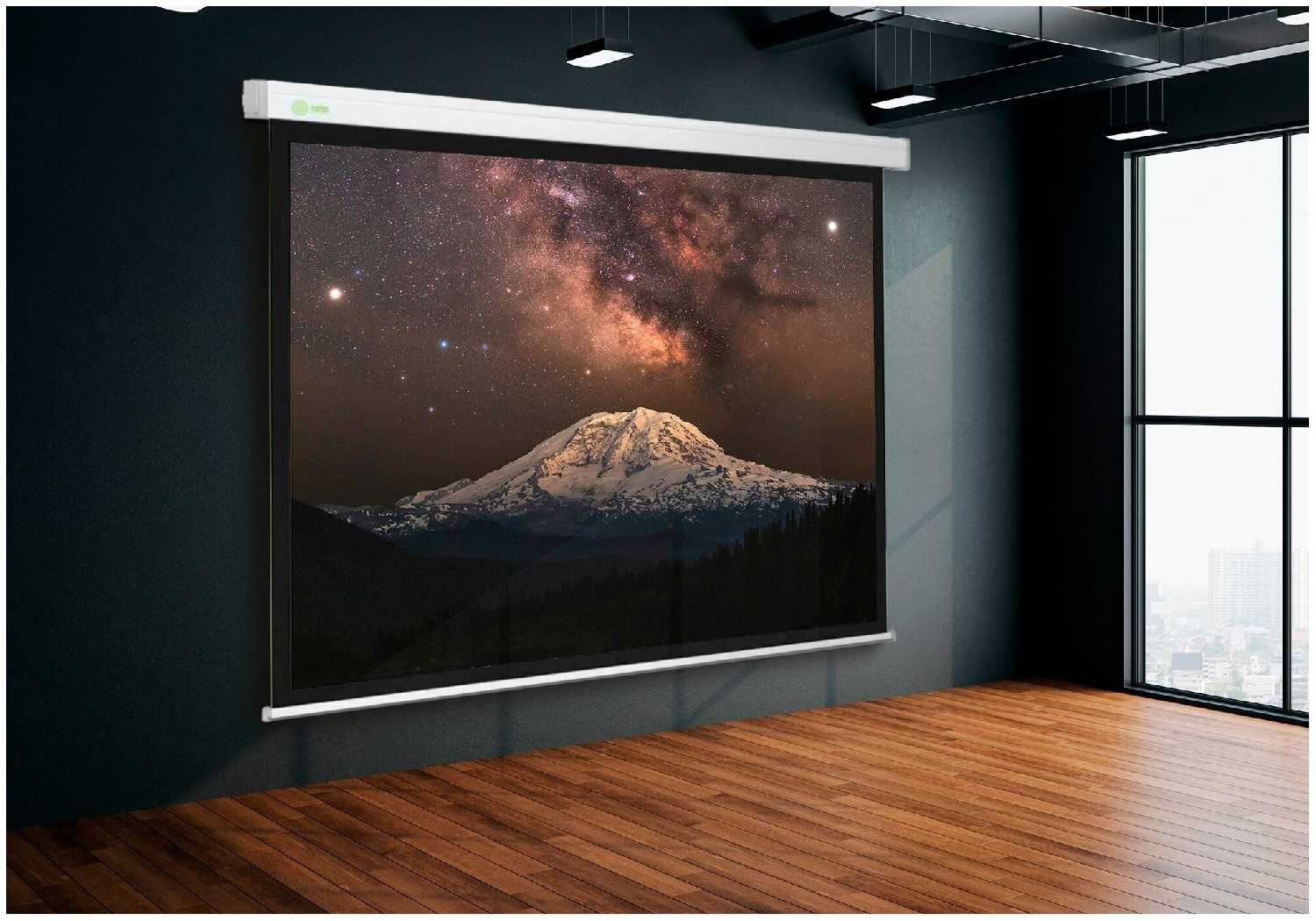 Рулонный cactus Motoscreen (CS-PSM-124x221) фотография 5