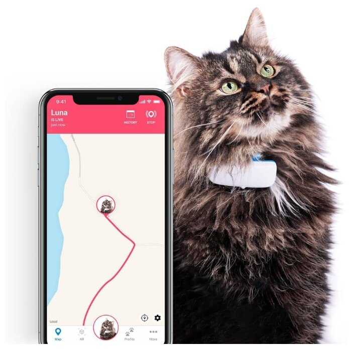 Трекер Tractive для кошек IKATI фотография 4