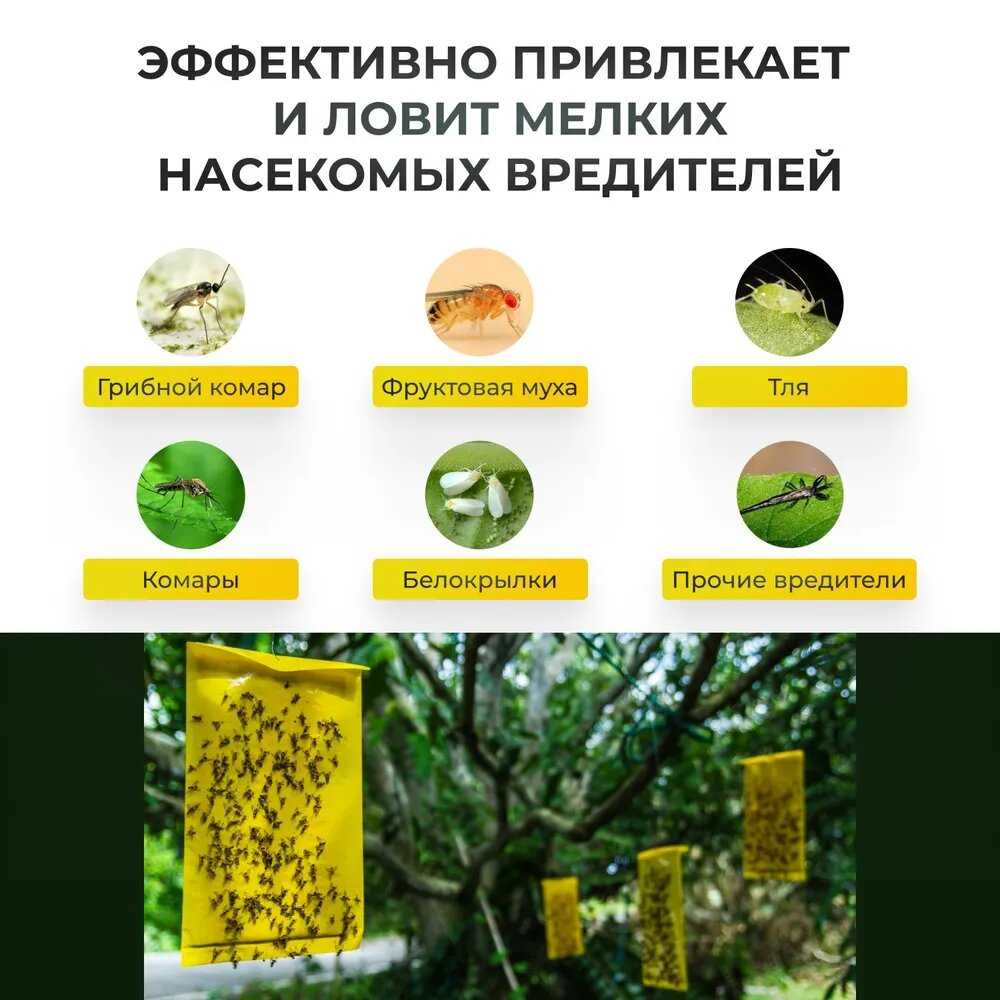 Средство от тараканов Средство от тараканов (5 шт) фотография 7