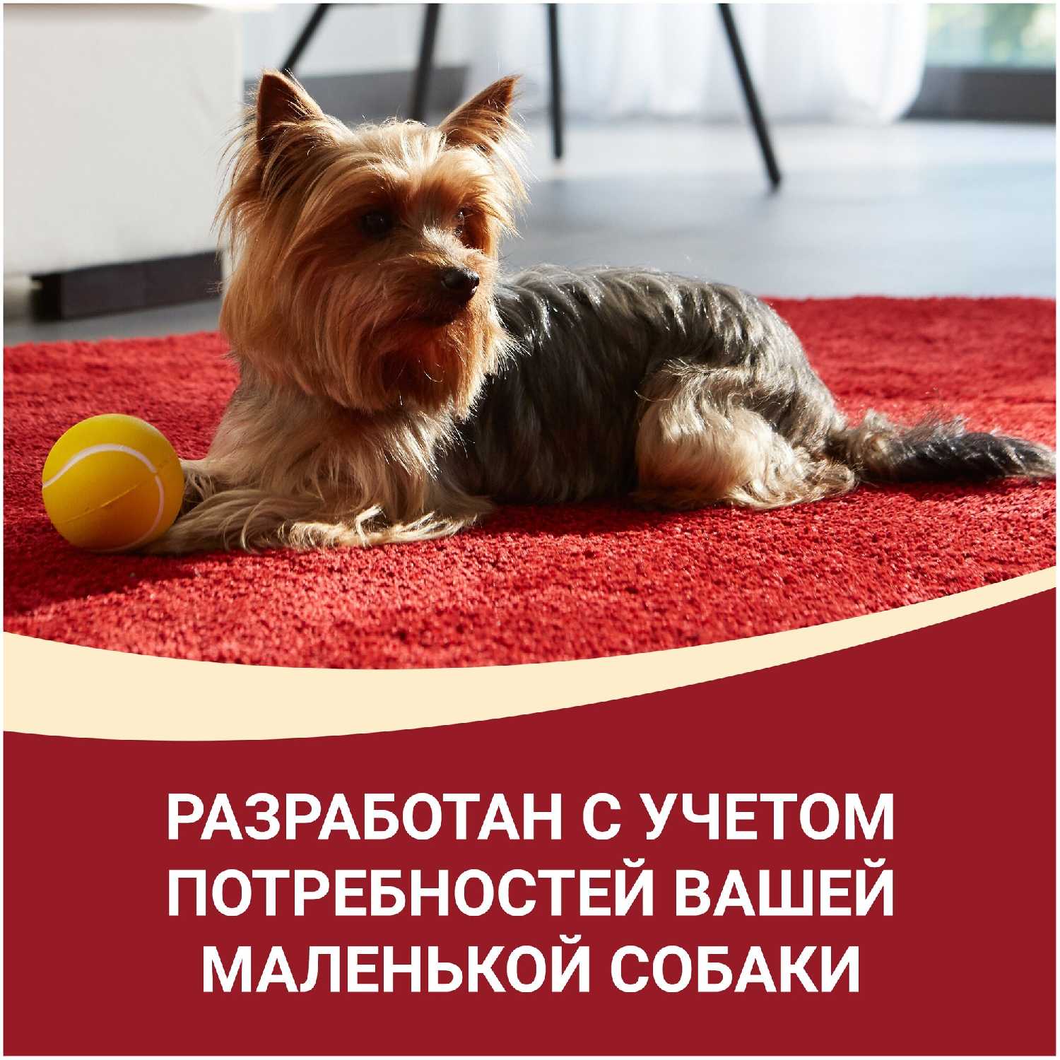 Корм для собак Purina ONE Мини Активная (уточка с пастой и зеленой фасолью) фотография 7