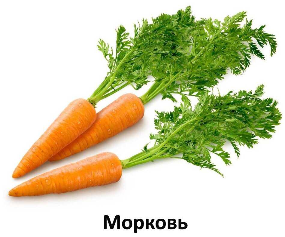 Корм для щенков Farmina (для средних и крупных пород) фотография 14