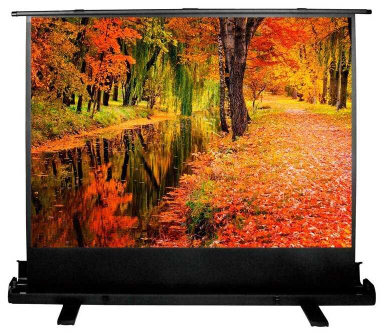 Экран Cactus 150x200см FloorExpert CS-PSFLE-200X150 4:3 напольный рулонный фотография 6