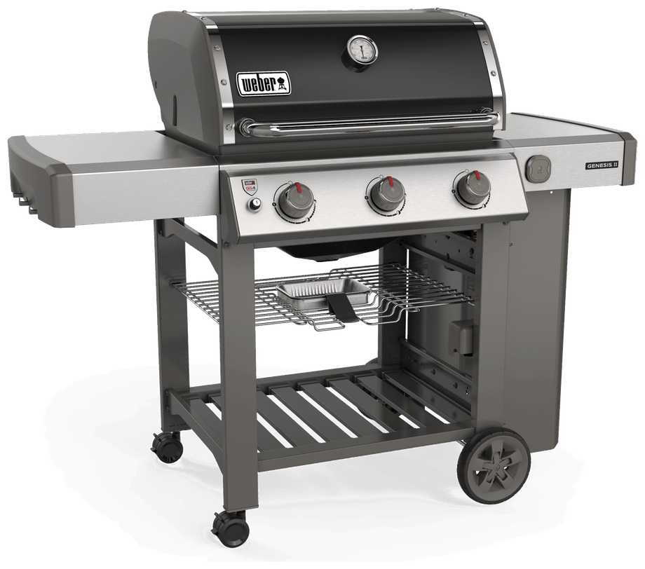 Гриль-барбекю Weber Genesis II E-310 GBS фотография 2
