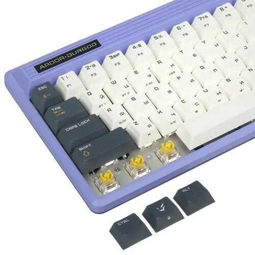 Клавиатура ARDOR GAMING x DURGOD Space Fusion (AG-DU-FN68KTY-P) фотография 6