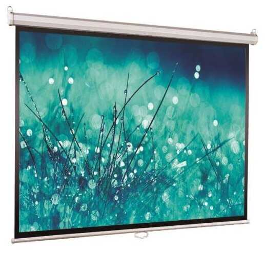 Рулонный ViewScreen Scroll (WSC-1102)