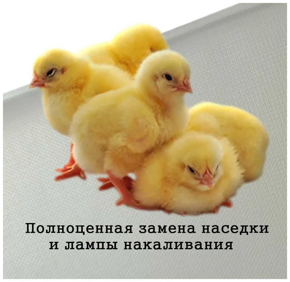 Обогреватель для цыплят и домашней живности 50x25 см. с терморегулятором ТеплоМакс фотография 2