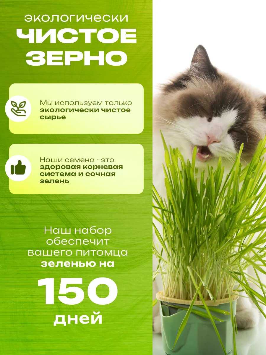 Трава для кошек LUC KITTY фотография 6