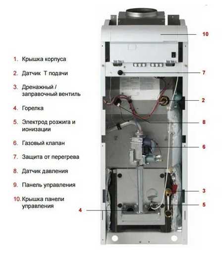 Конвекционный газовый котел Protherm Медведь 40 KLOM фотография 4
