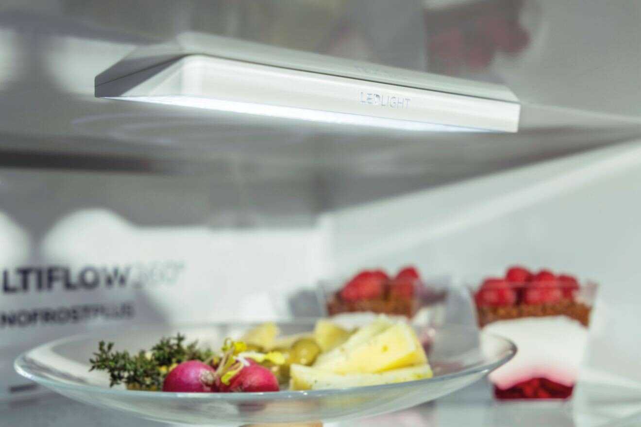 Однокамерный холодильник Gorenje R 291PW4 фотография 4