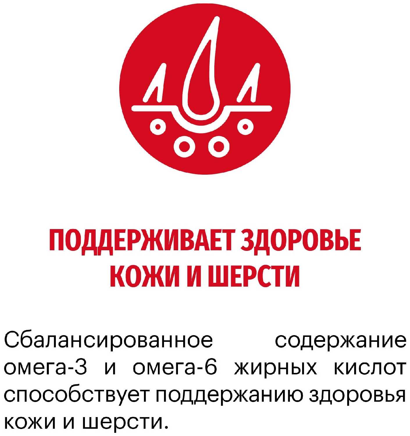 Корм для собак Karmy Medium Adult (индейка) фотография 15