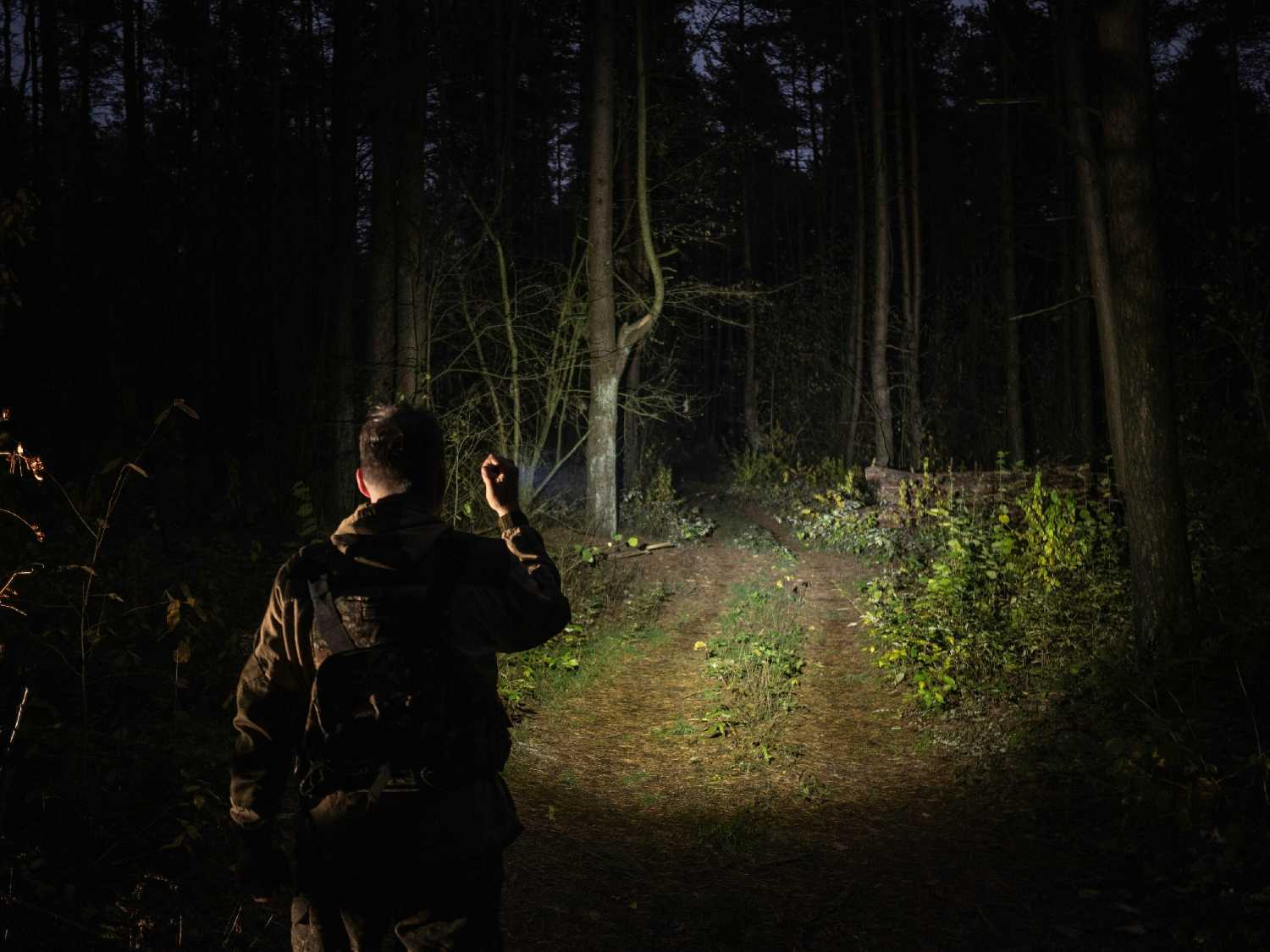 Фонарь ArmyTek Viking Pro (F07701C) фотография 8
