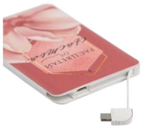 Портативный аккумулятор Like Me PB-03 «Расцветай от счастья» 2500mAh фотография 3