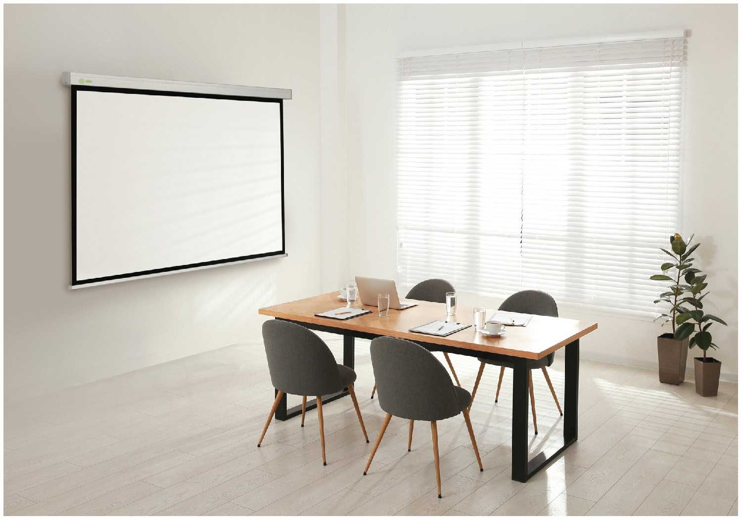 Рулонный cactus Wallscreen (CS-PSW-183x244) фотография 4