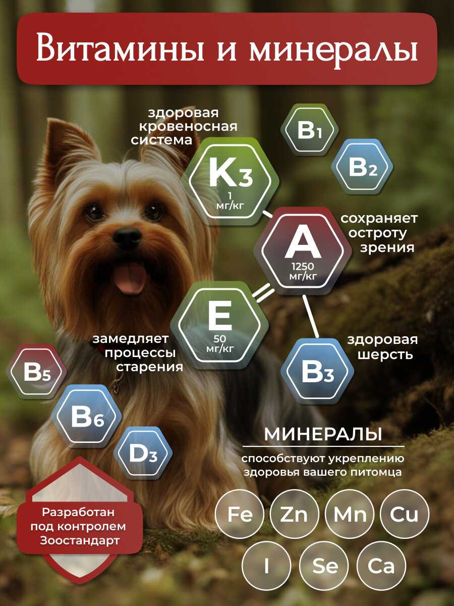 Корм для собак BioMenu Adult с говядиной фотография 18