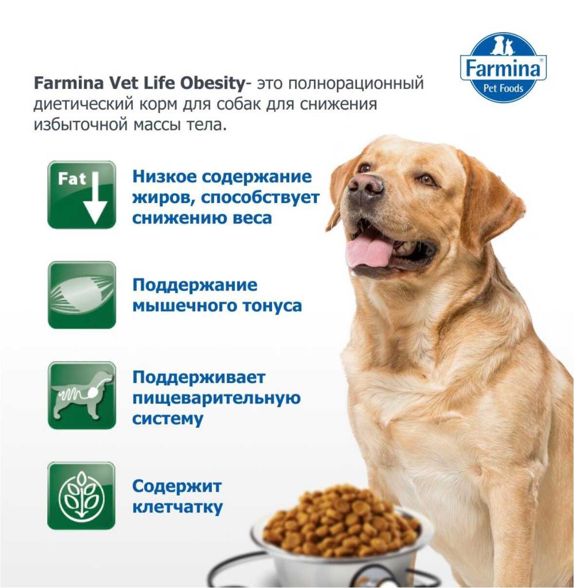 Корм для собак Farmina Vet Life Obesity фотография 17