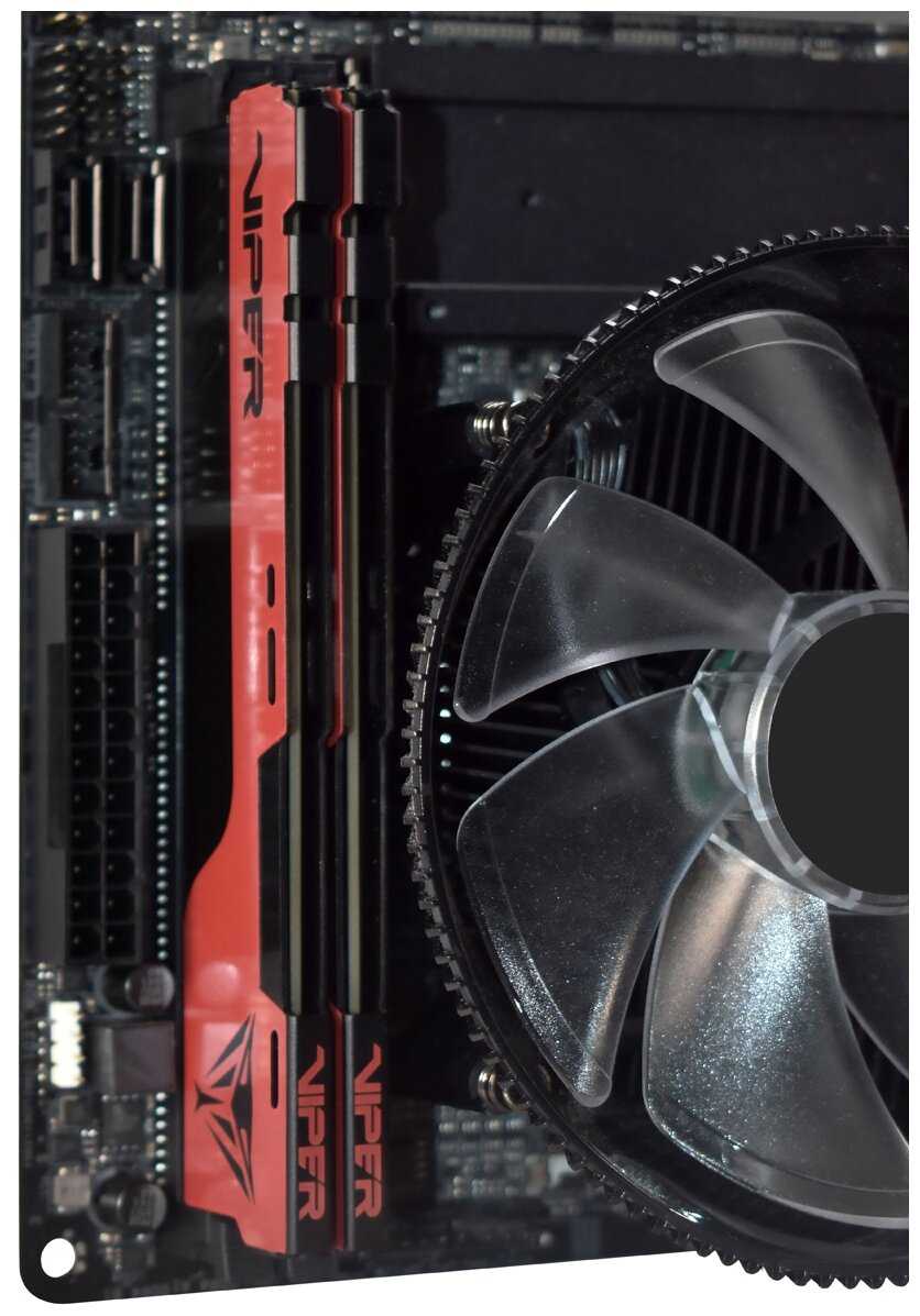 Оперативная память Patriot Memory VIPER ELITE II 8 ГБ DDR4 DIMM CL16 (PVE248G266C6) фотография 4