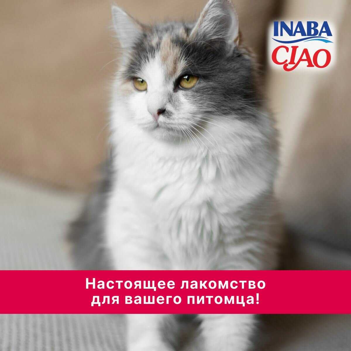 Лакомство-пюре для кошек Inaba Ciao Churu Куриное филе и креветка фотография 30