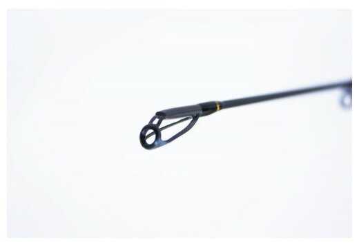 Кастинговое удилище Hearty Rise Evolution III E3-702HC тест 10-42 г длина 214 см фотография 3