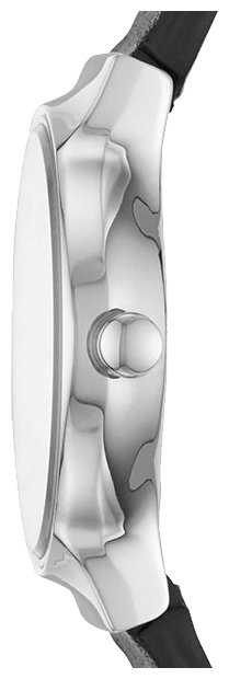 Наручные часы SKAGEN SKW2668 фотография 1