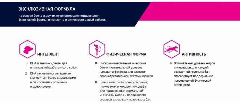 Корм для собак Eukanuba для пожилых собак фотография 12