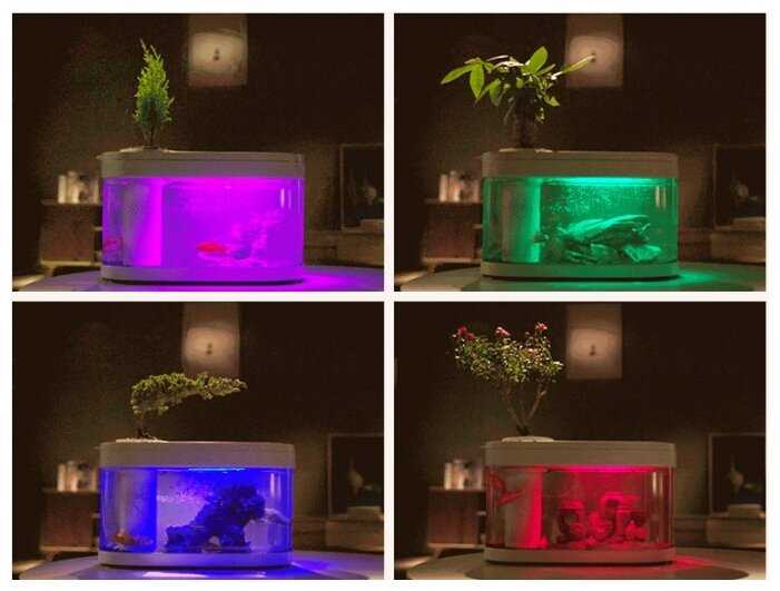 10 л Xiaomi Geometry Fish Tank Aquaponics Ecosystem (HF-JHYG001) фотография 9