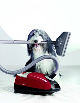 Выбираем пылесос: обзор Miele Compact C2 Cat & Dog